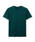 Fan Marine Green*